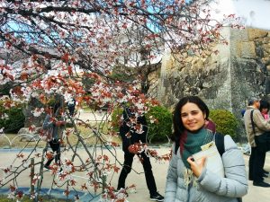 Hanami en Himeji, Japón