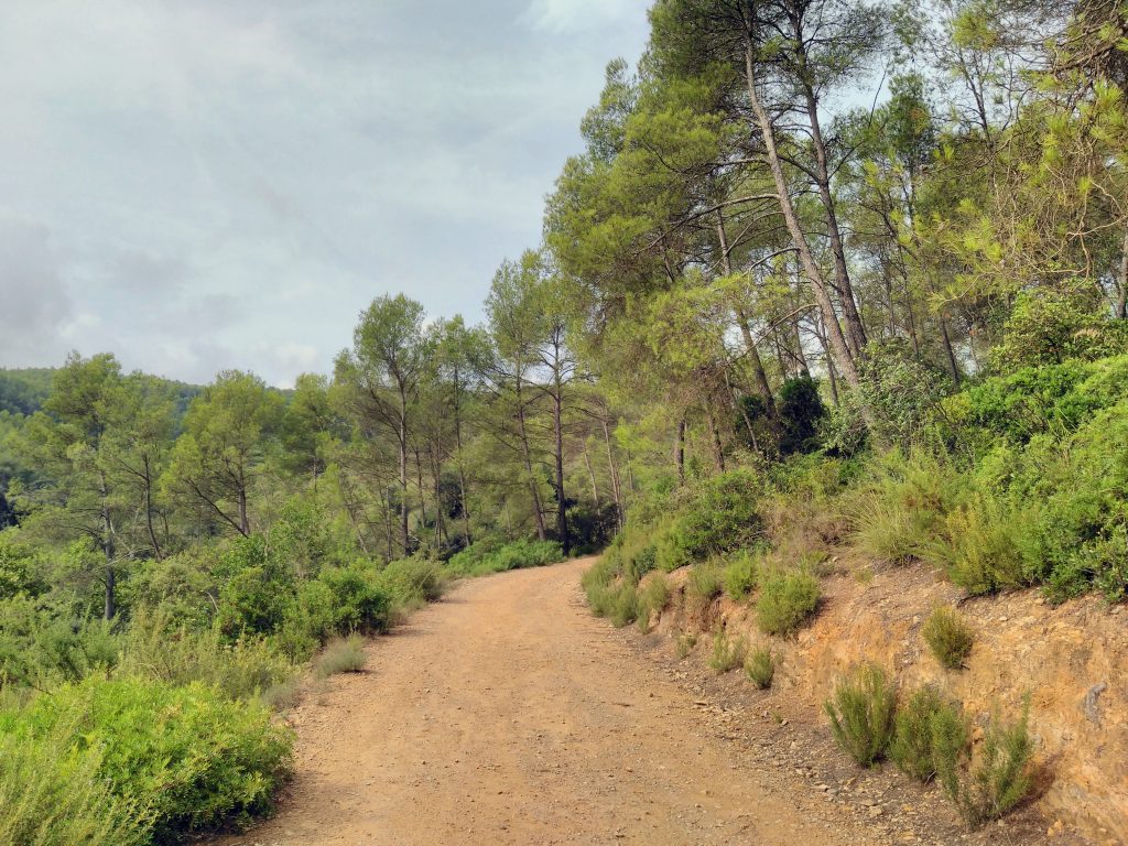 Coves Can Riera, Torrelles de Llobregat