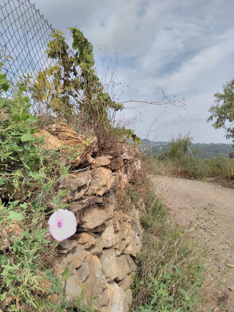 Coves Can Riera, Torrelles de Llobregat