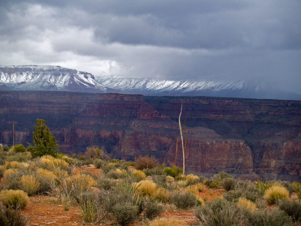 Grand Canyon West