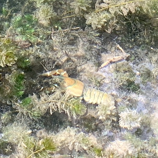 Monasterio de Piedra