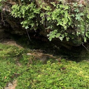 Monasterio de Piedra