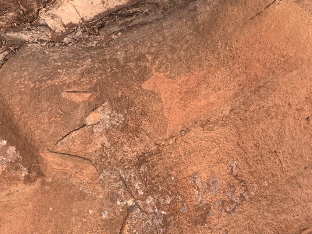 Pinturas rupestres