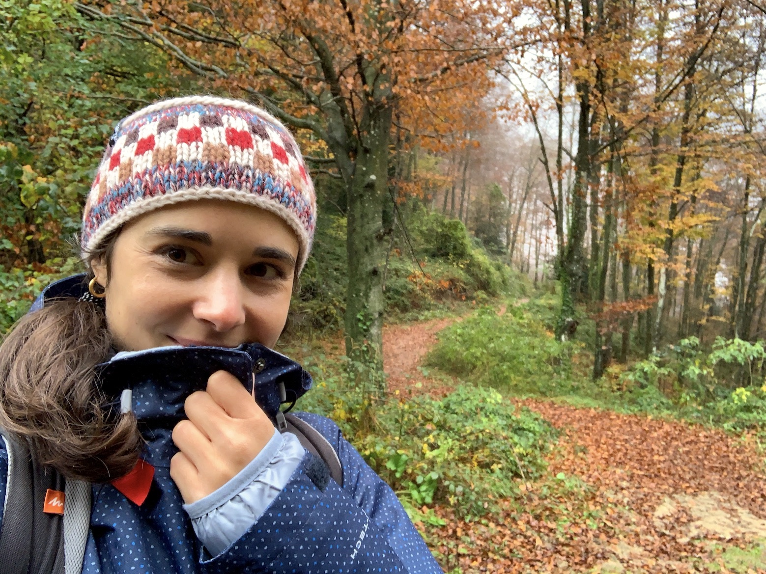 Fageda de Grevolosa