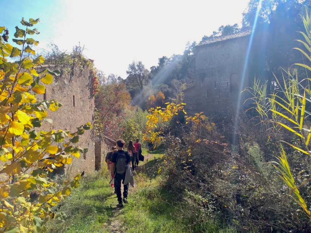Sant Quirze de Safaja