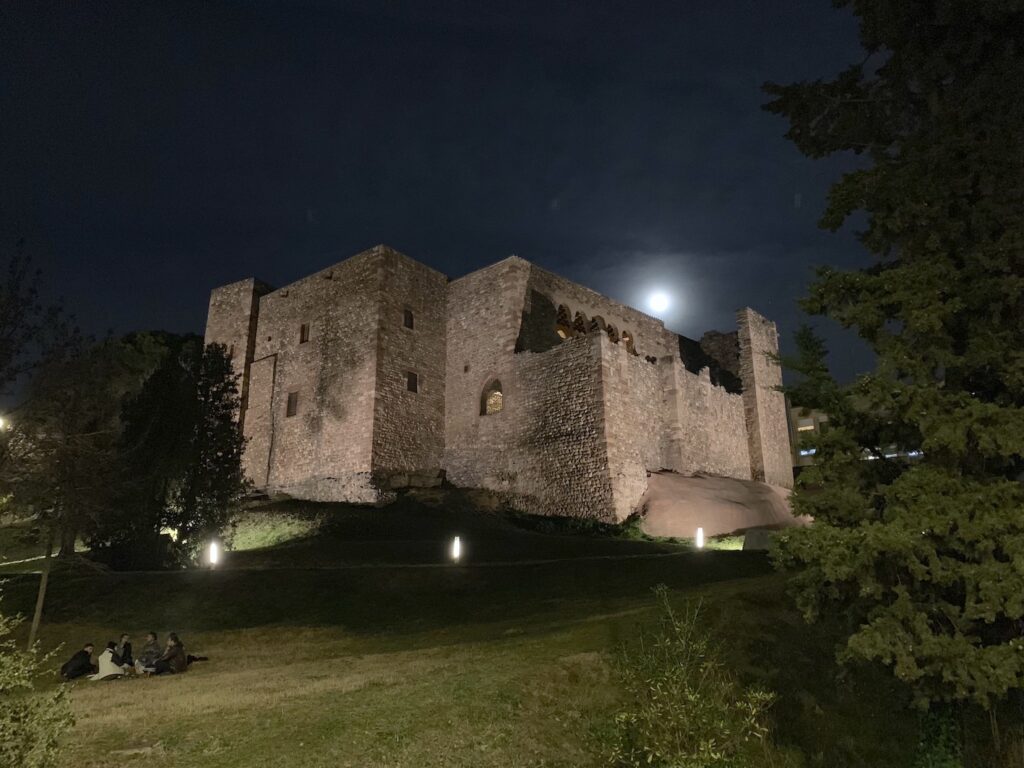 Castell Cartoixa de Vallparadís