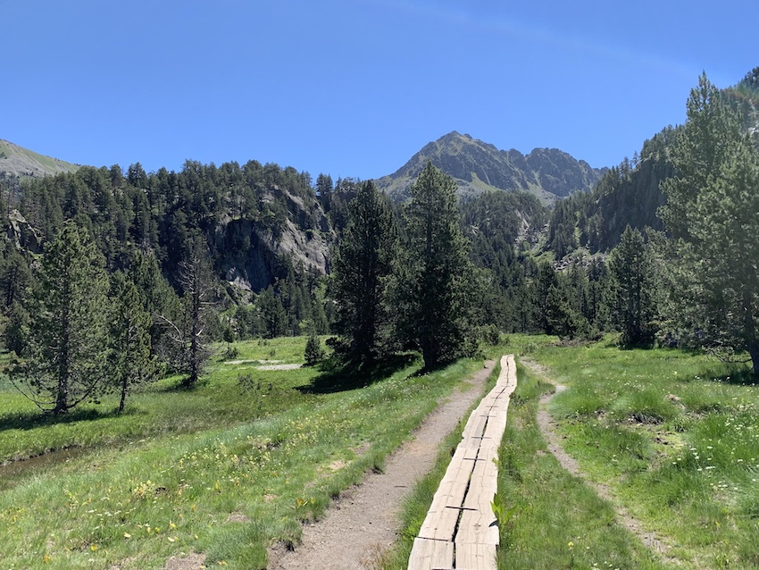 Circ de Colomèrs