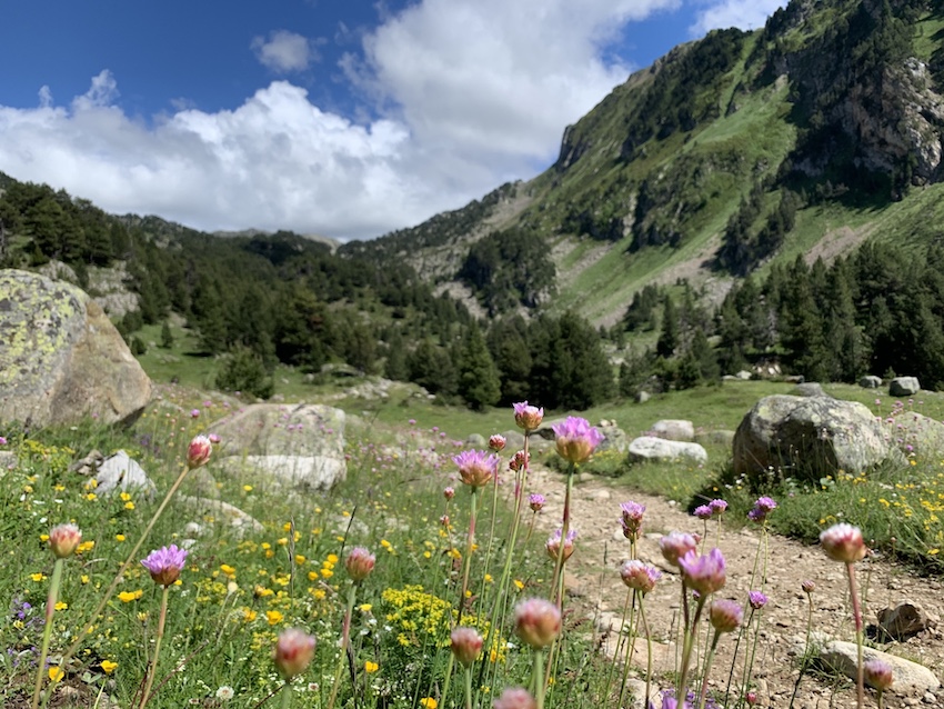 Estany Baix Bacivèr