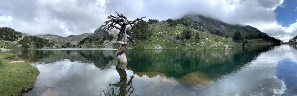 Estany Baix Bacivèr