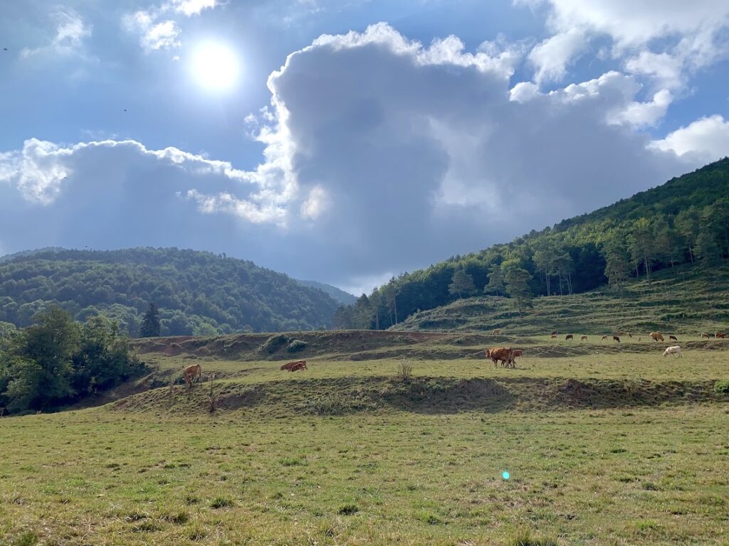 Vía Verde de Ripoll