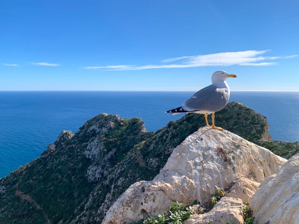 Peñón de Ifach