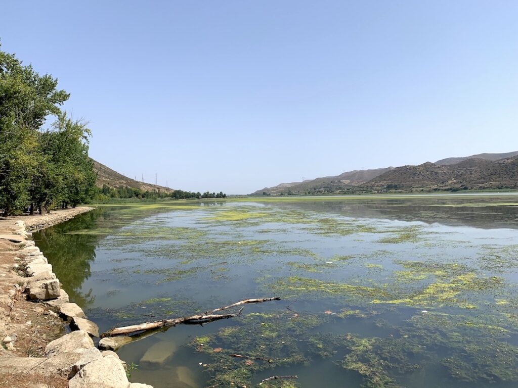 Mar de Aragón