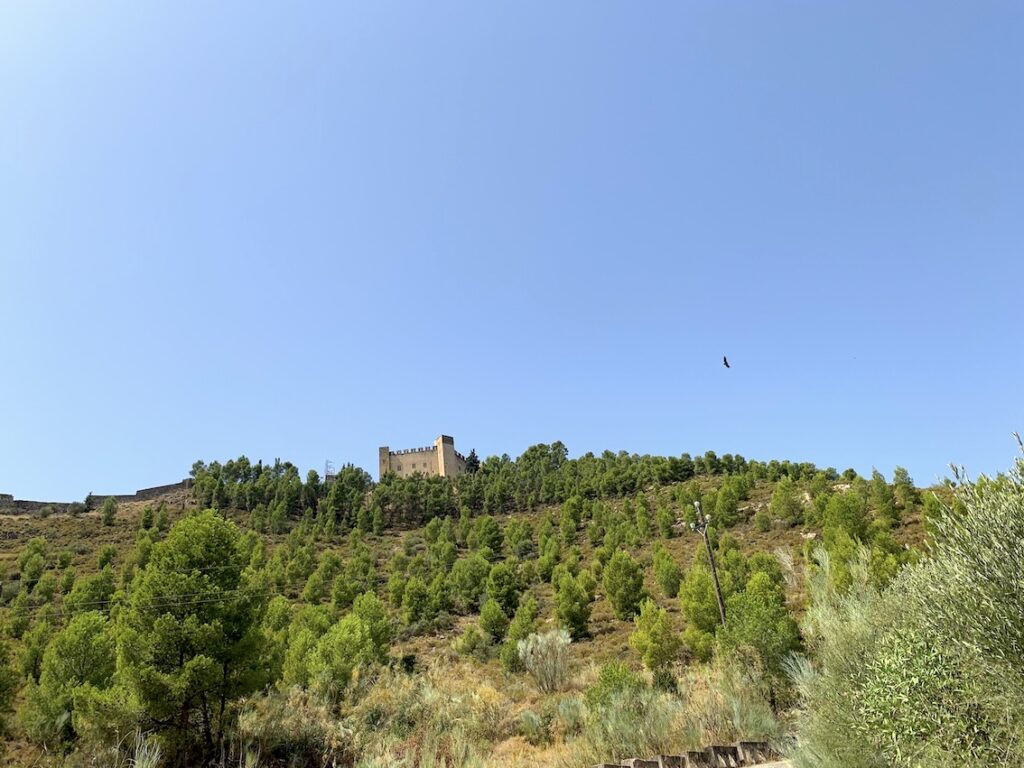Mar de Aragón