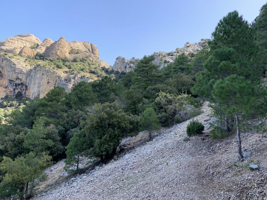 Roques de Benet
