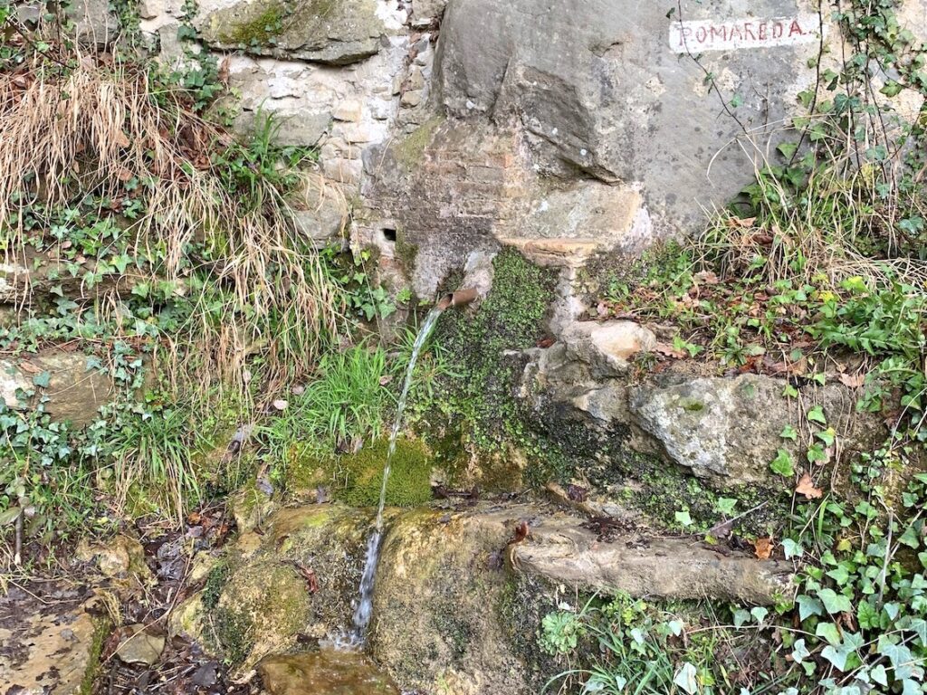 Salt de Sallent