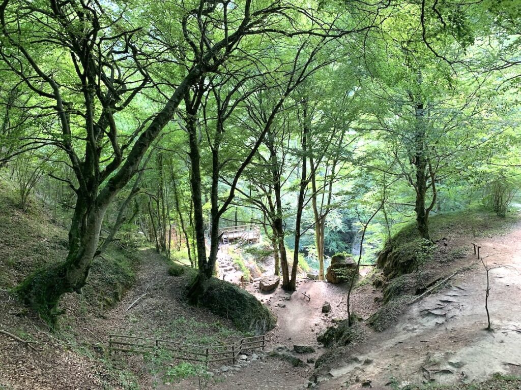 Nacedero del Urederra