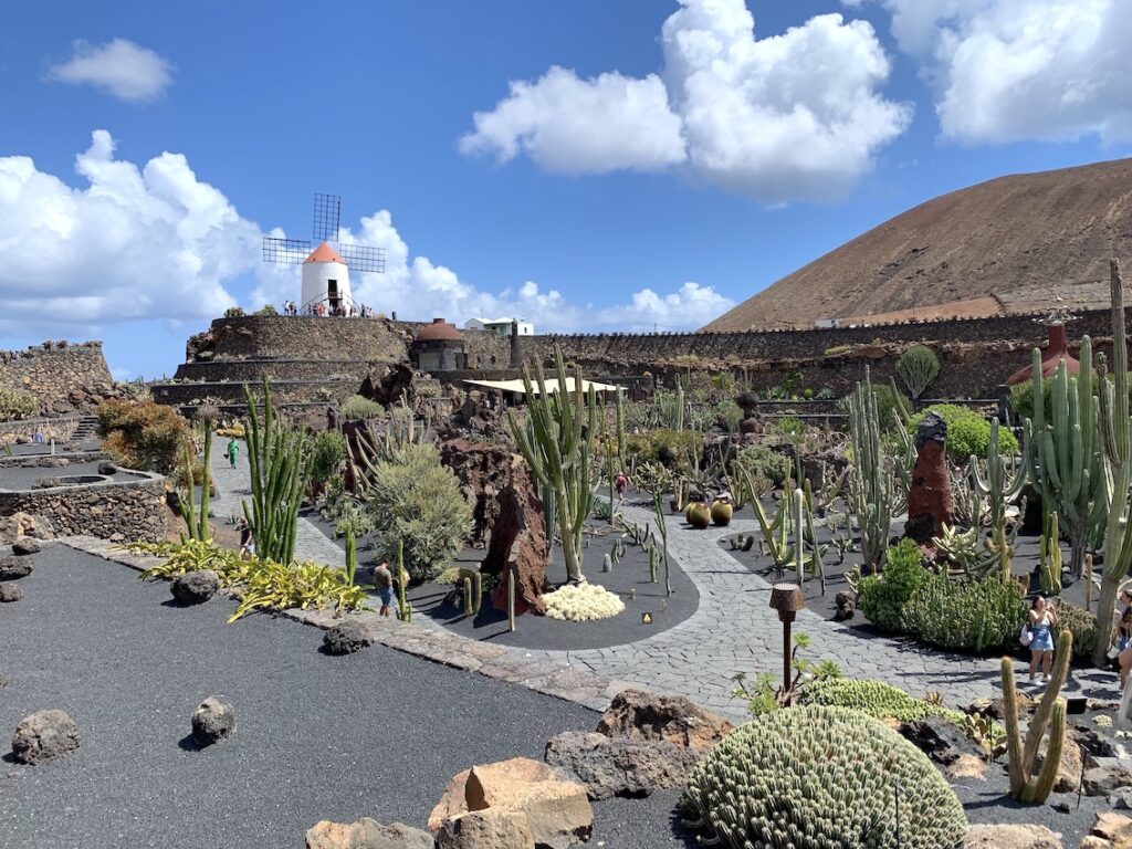 Jardín Cactus