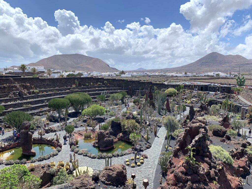 Jardín Cactus