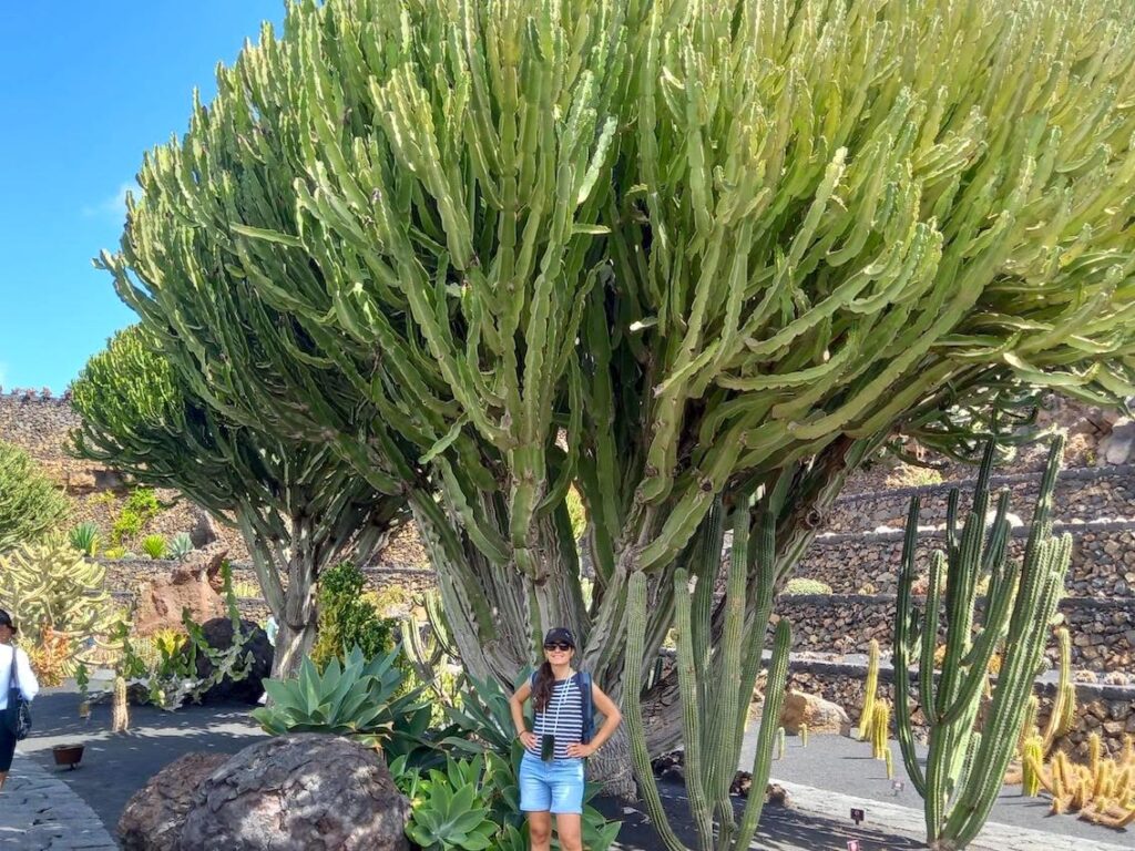 Jardín Cactus