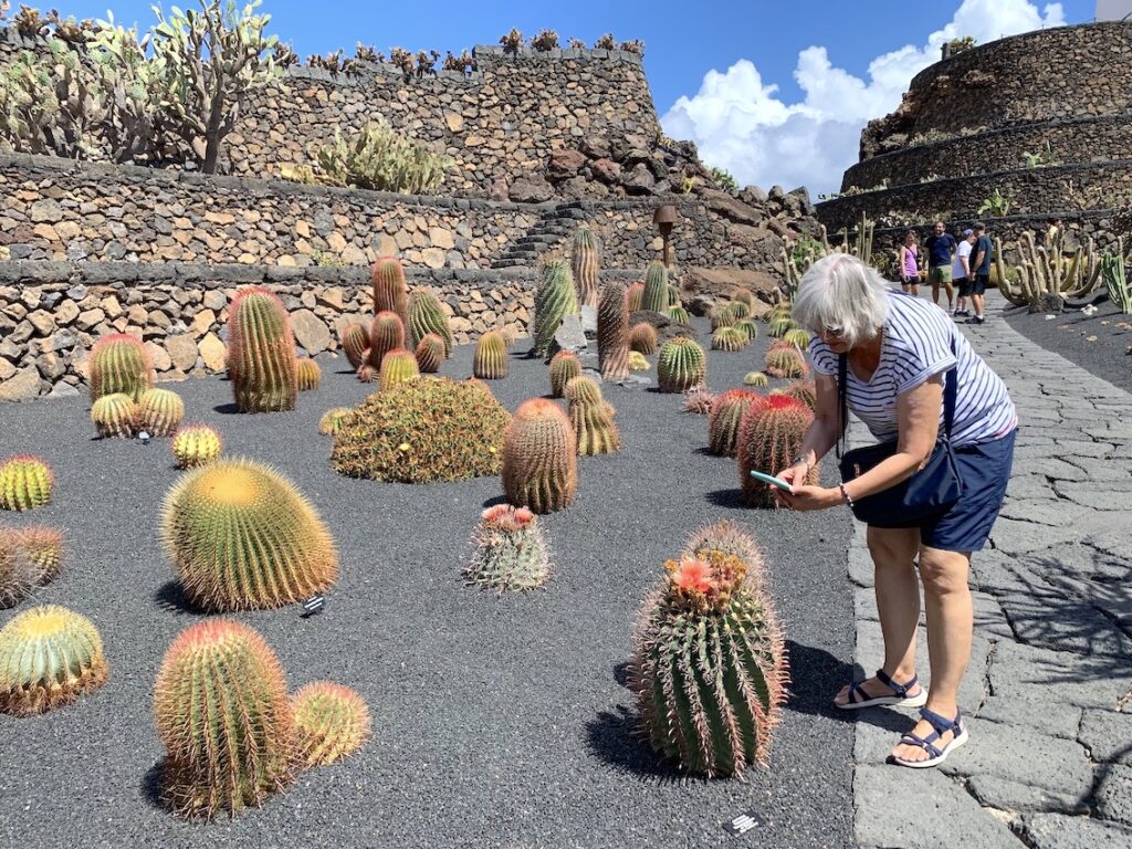 Jardín Cactus