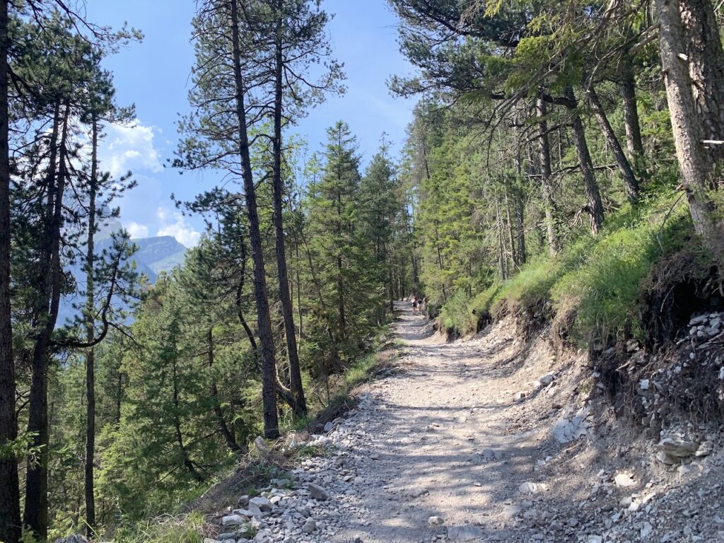 Camino de subida a Oeschinensee