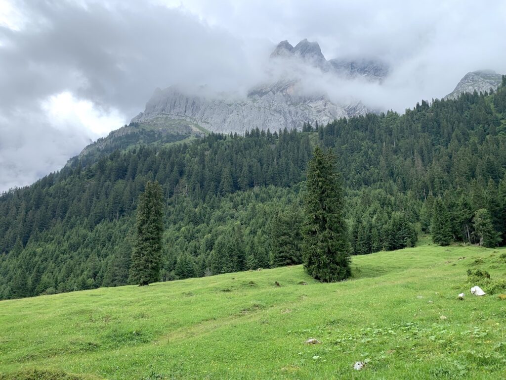 Vista de Grosses Engelhorn encapotado en el Valle Rosenlauital, Suiza