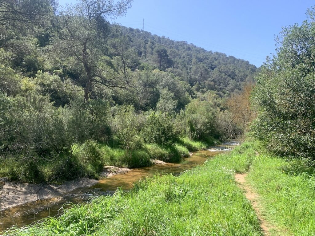 Riera de Carme y caminito con césped