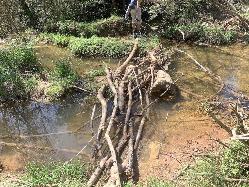 Troncos para cruzar la Riera de Carme