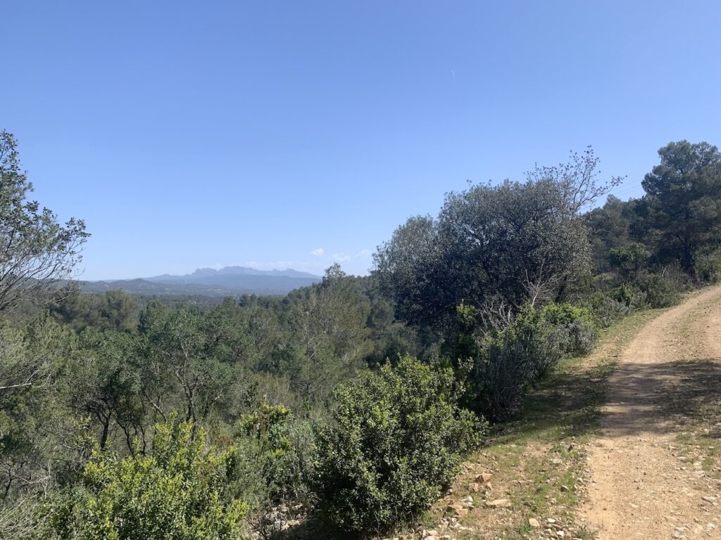 Vistas de Montserrat desde la pista forestal