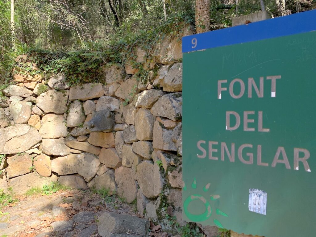 Font del Senglar