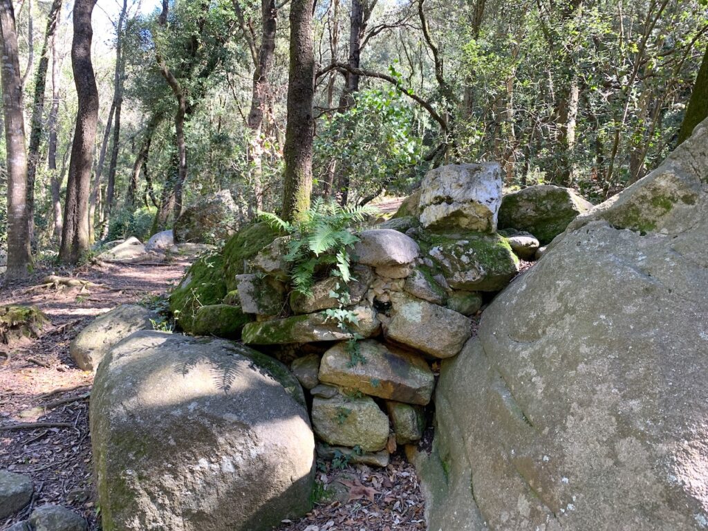 Font de la Granota