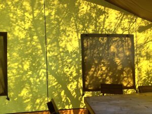 Reflejos de la natura en la tela de la Cabaña