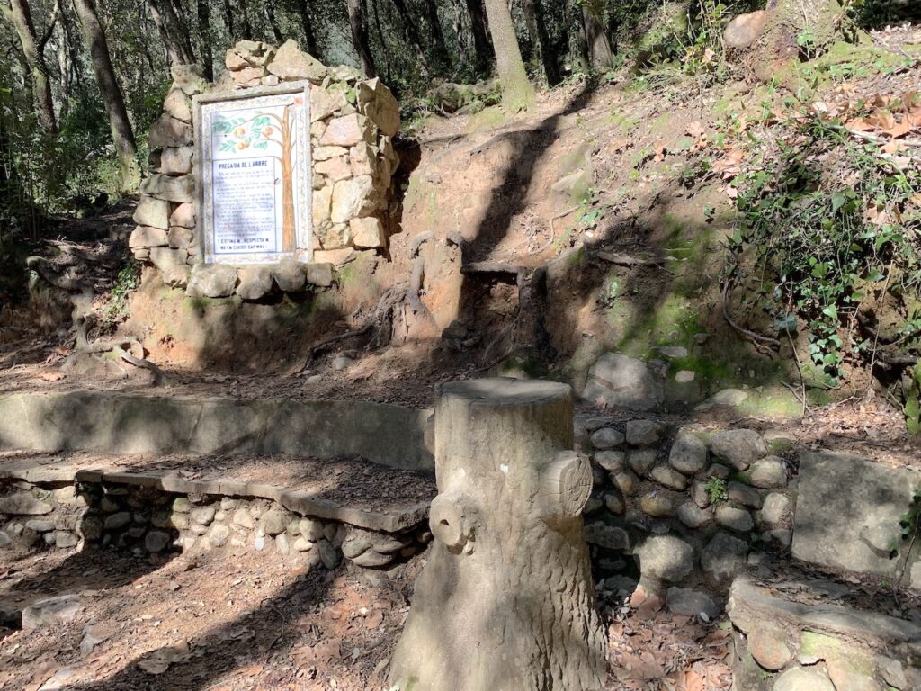 Font de l'Arbre