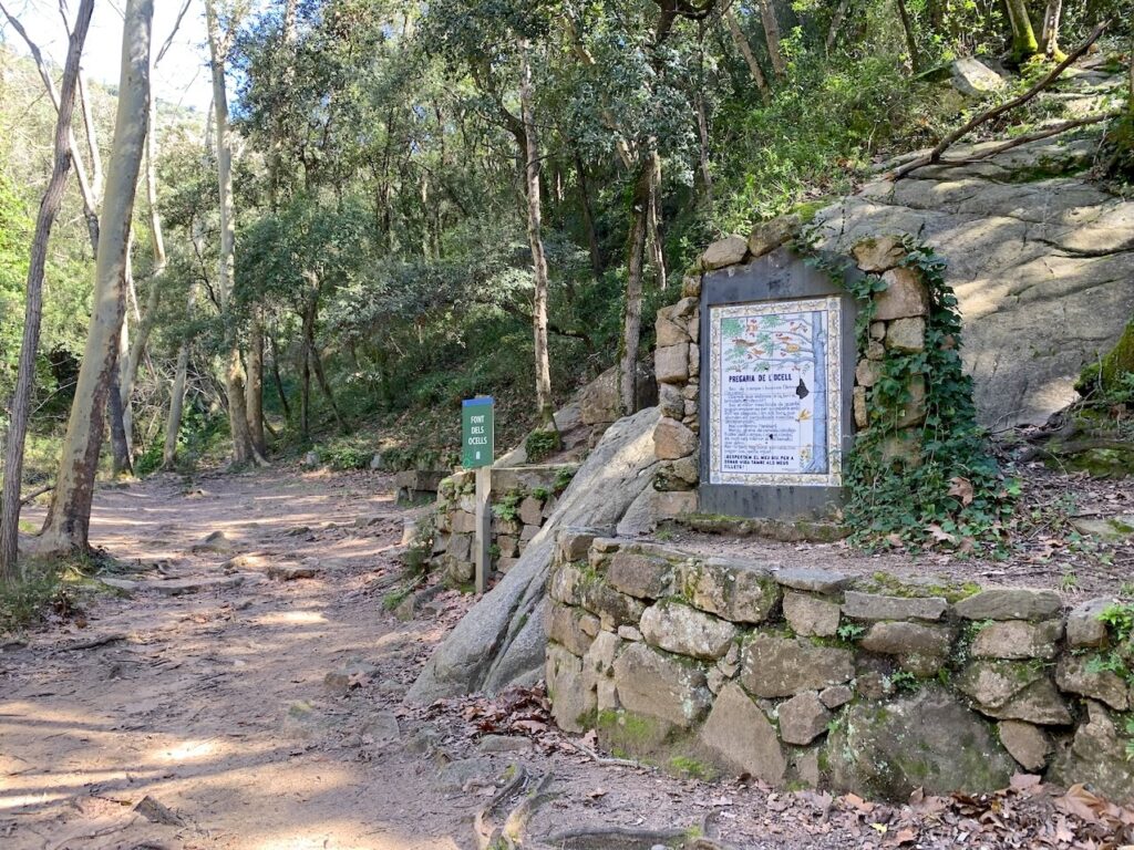 Font dels Ocells
