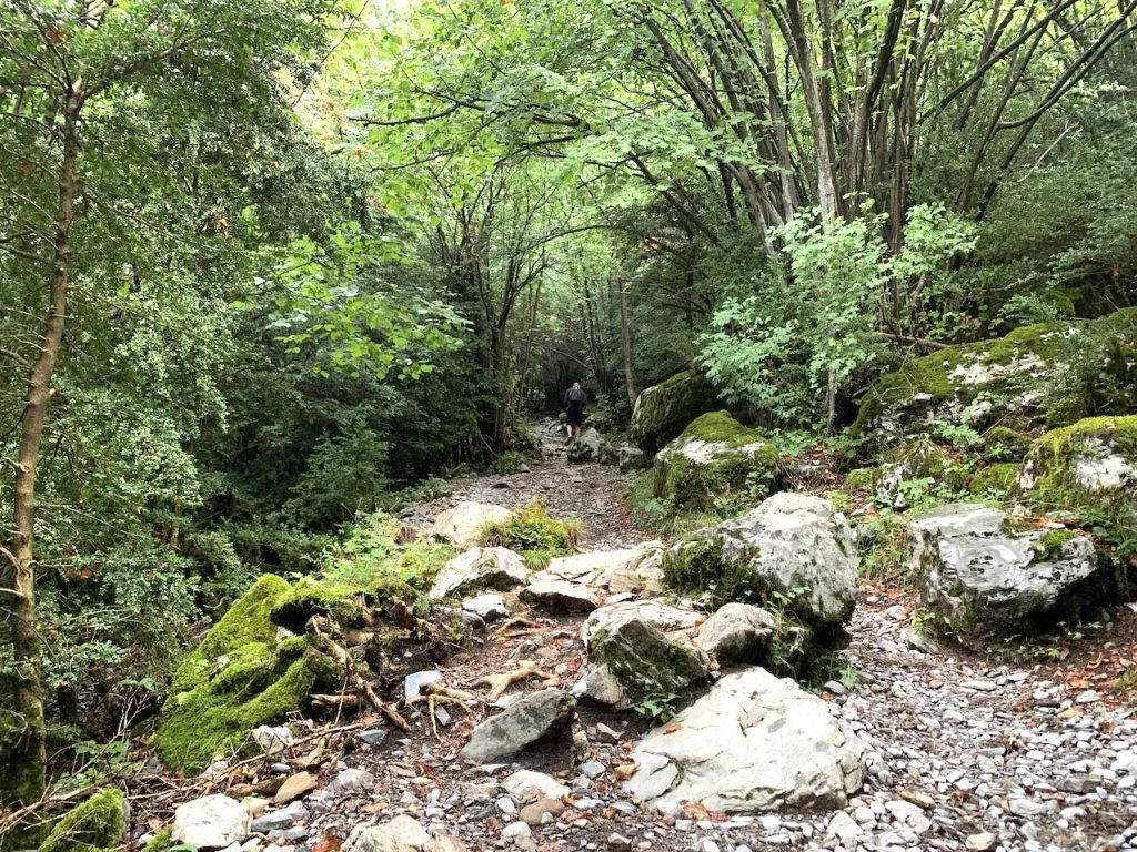 Subida inicial a Llanos de La Larri