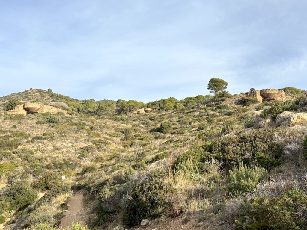 Búnkeres de la Falconera, Roses