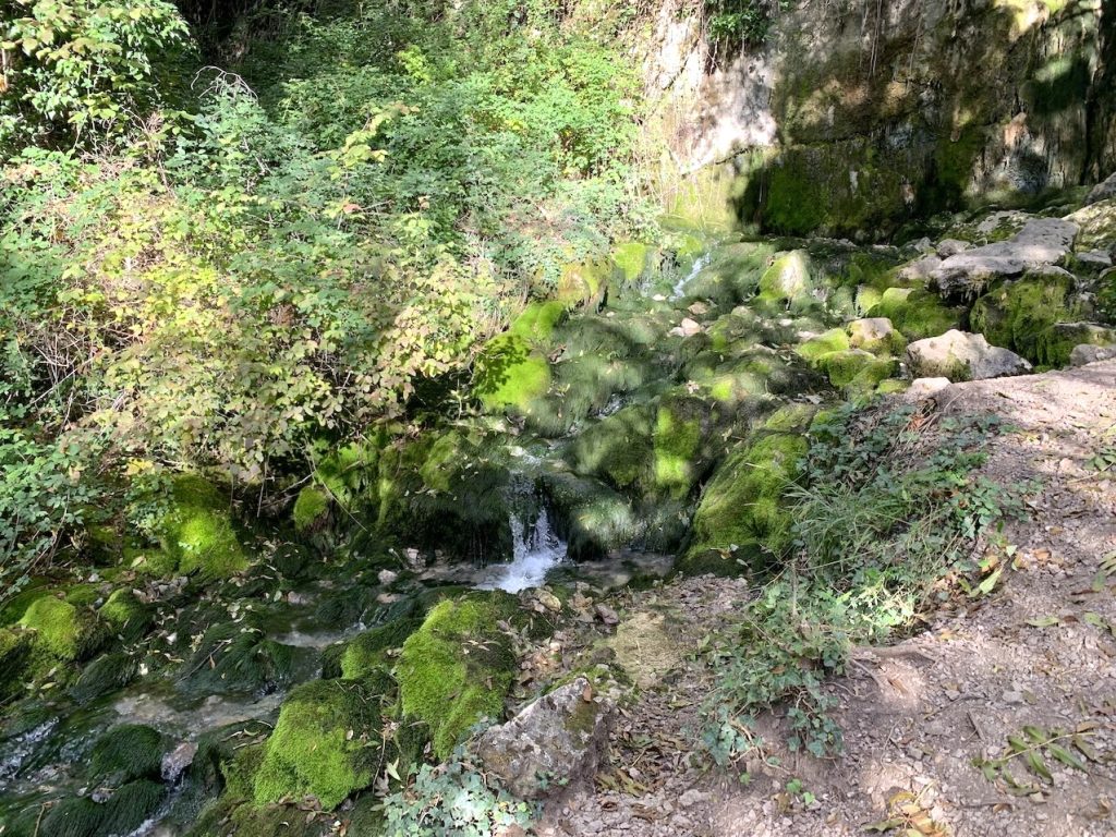 Bullidor de la llet